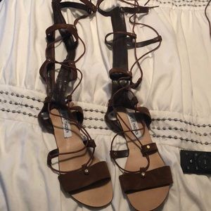 Steven madden gladiator to the knee sandals suede